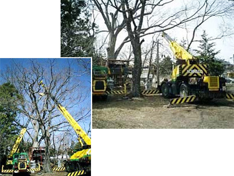 クレーン作業 庭木伐採 枯れ枝剪定 高木伐採