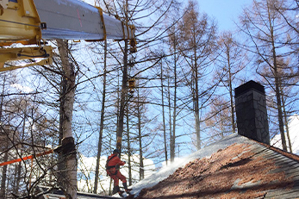 地域で培った柔軟な対応力