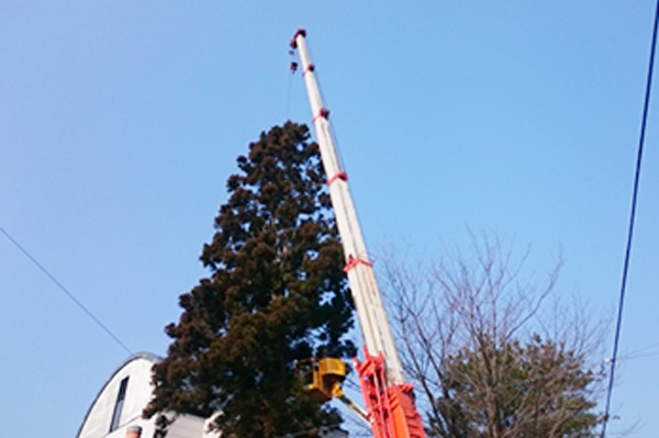 高所の困難な作業も対応